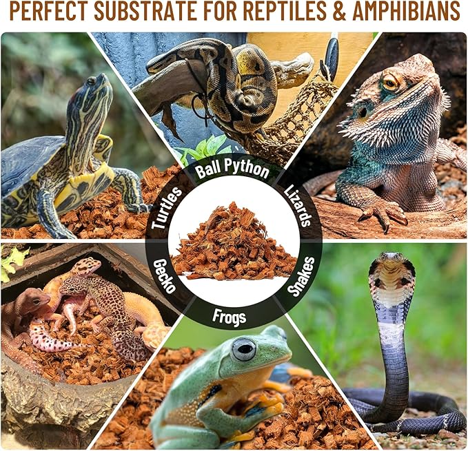 Riare 10LB Coconut Chip Substrate for Reptiles, 72 Quart Coconut Fiber Substrate Coco Chips Substrate Coconut Husk Bedding for Snakes, Tortoises, Ball Python, Bearded Dragon, Geckos, Lizards, Frogs