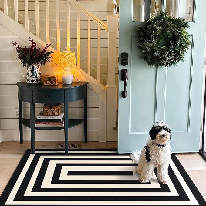 3x5 Modern Entry Rug