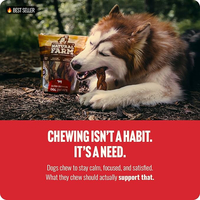 Natural Farm Odor-Free Braided Bully Sticks (4-5 Inch, 5 Pack) - 100% Grass-Fed Beef, Grain-Free, Low Fat & Fully Digestible Best Dental Treats, Safest Long Lasting Pizzle Chews to Keep Your Dog Busy