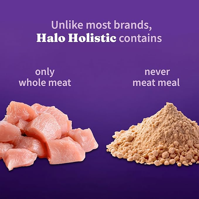 Halo Holistic Cage Free Chicken Cat Food, Healthy Grains Dry Cat Food, Complete Digestive Health, Kibble for Adult Cats, 10 lb Bag