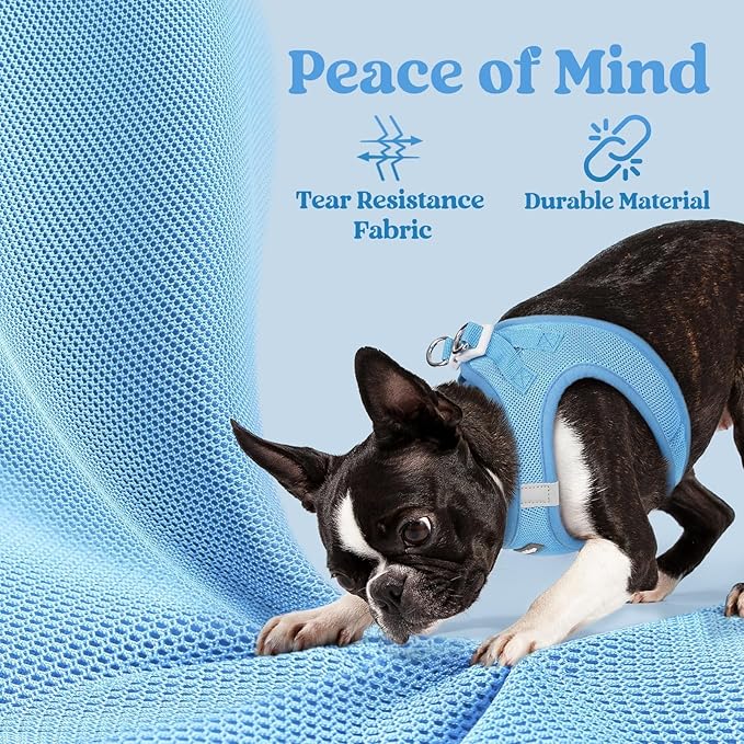 rabbitgoo Small Dog Harness, Step-in Soft Mesh Puppy Vest with Safety Buckle, Breathable Reflective Pet Harness for Small Sized Dogs, Blue M
