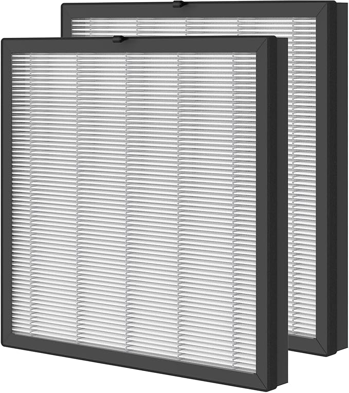 2 Packs Replacement Filter Compatible