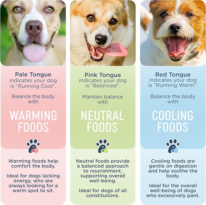 Side by Side Rabbit Munchies - Cooling Freeze-Dried Dog Treats - Ideal Dog Training Treats, Snack or Reward - Made of Whole Raw Ingredients, Free of Artificial Additives - USA Made (4oz., Pack of 2)