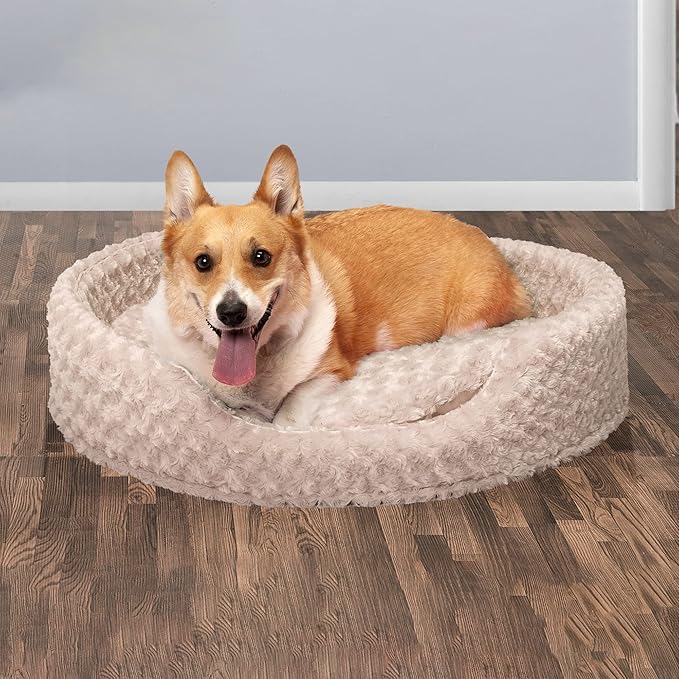 Furhaven Dog Bed for Large Dogs w/ Removable Washable Cover & Pillow Cushion Insert, For Dogs Up to 55 lbs - Ultra Plush Faux Fur Oval Lounger - Cream, XL/Extra Large