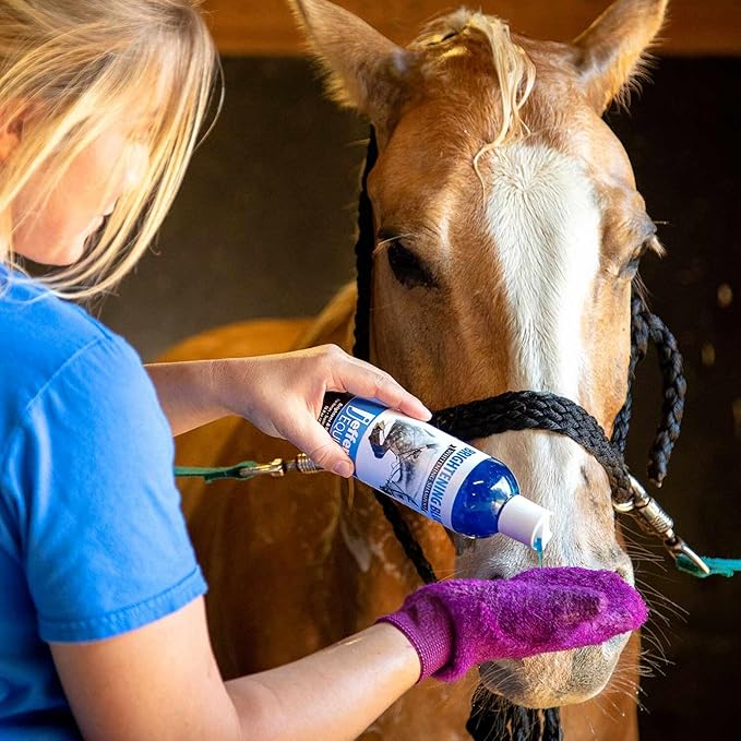 Jeffers Equine Brightening Blue Shampoo for Horses, 1 Gallon – Enhanced Whitening & Stain Remover, Coconut Oil, Aloe, Gentle Grooming, Detergent - Free, Enhances Coat Shine, Mane & Tail Care