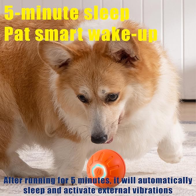 BIONEMAGILI Interactive Self-Moving Pet Toy Ball - Motion-Activated Auto Rolling, Military-Grade Chew Resistant, USB-C Rechargeable for Small Dogs & Cats (Orange, Small1