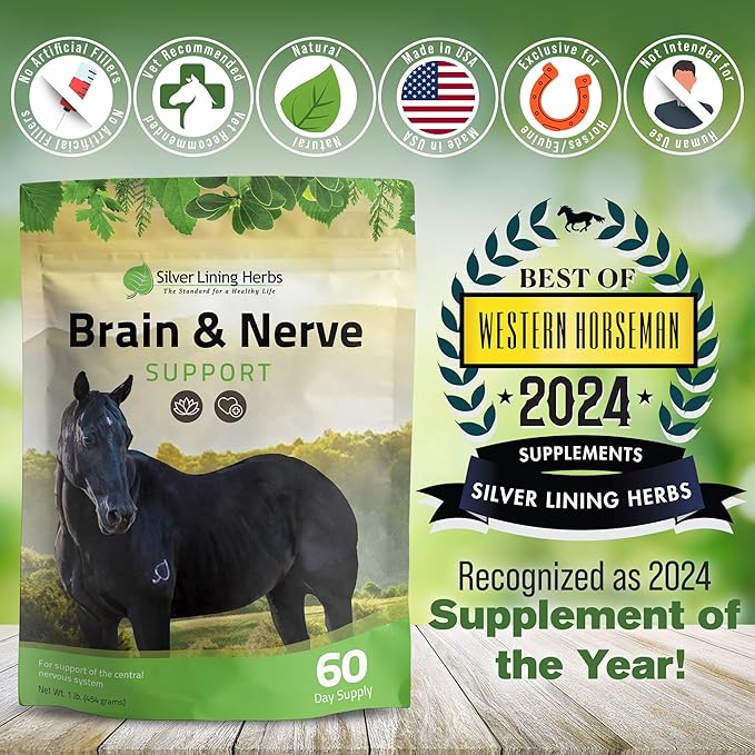 Silver Lining Herbs Brain & Nerve Support Supplement for Horses - Horse Supplements for Focus, Mental Health & Brain Support - Contains Herbal Blend of Ginkgo, Gotu Kola, & More - 1 lb 60-Day Supply