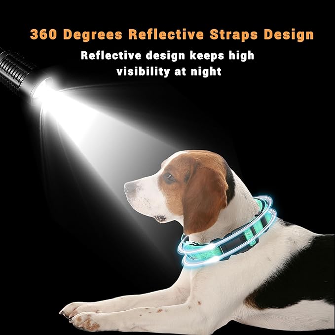 2 Pack Reflective Dog Collar with Safety Locking Buckle, Adjustable Soft Breathable Comfortable Nylon Pet Collar for Small, Medium and Large Dogs, Turquoise, S