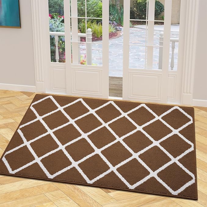 Finchitty Indoor Door Mat, Dirt Resistant and Absorbent, Low-Profile, Washable