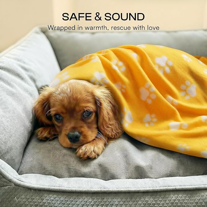 LINENLUX Cute Dog Blanket for Small Medium Dogs 6-Pack Soft Stretchy Fleece Blankets for Pet Cat Puppy Warm Wrinkle-Resistant Throw for Couch Bed Outdoor Yellow 31x24 inch (Pack of 6)