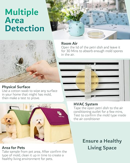 Mold Test Kit for Home