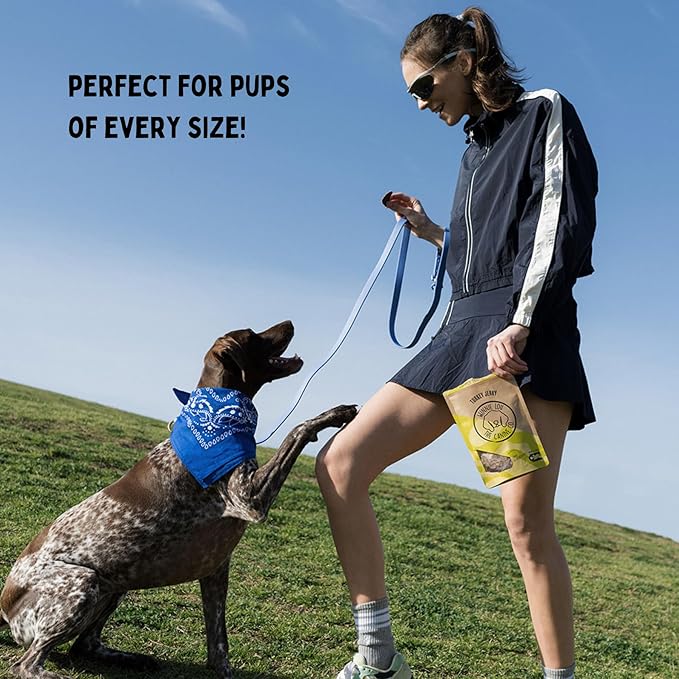 Winnie Lou Turkey Jerky Dog Treats - Limited Ingredient, Human Grade, Training Treats for Small, Medium & Large Dogs, USA Made, High Protein, Chews, Hypoallergenic, Sensative Stomach (2 Pack)