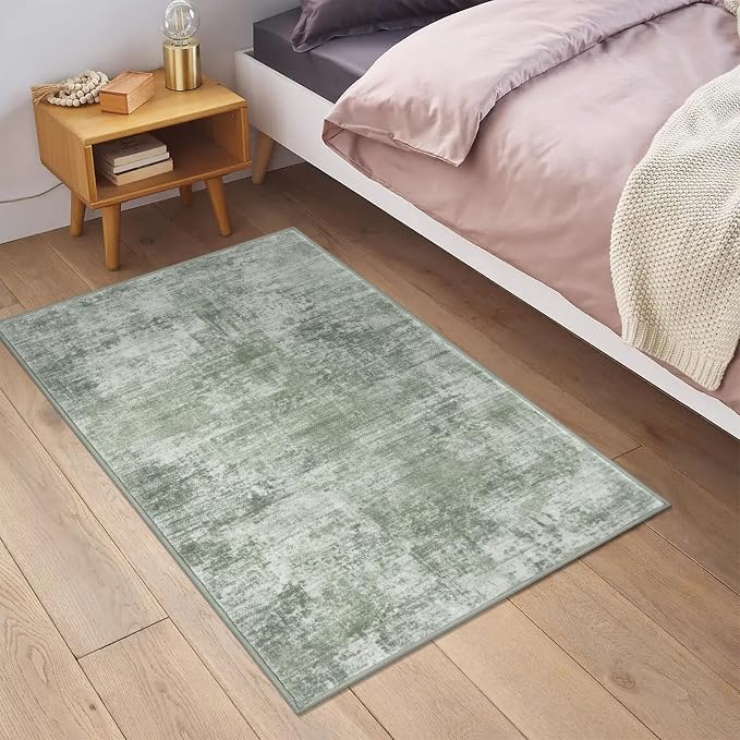 IOHOUZE Small Abstract Area Rug 2x3 Ft Entryway Rugs Washable Door Mat Indoor