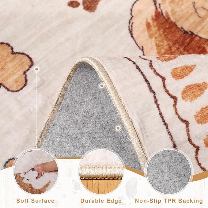 DUKINO 2x3 Entryway Rug, Washable Small Door Mat Indoor Entance Lightweight