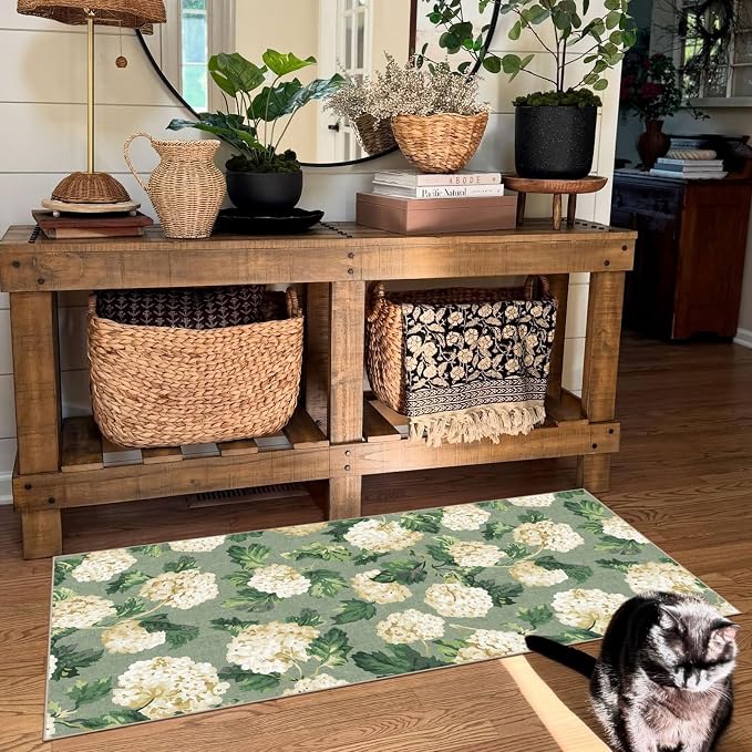 Front Door Mat Indoor Entrance
