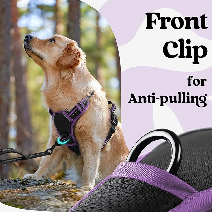 rabbitgoo Dog Harness Medium Sized, No Pull Pet Harness with 3 Buckles, Adjustable Soft Padded Vest with Control Handle, Walking Reflective Pet Vest for Medium Dogs, Black & Purple, M