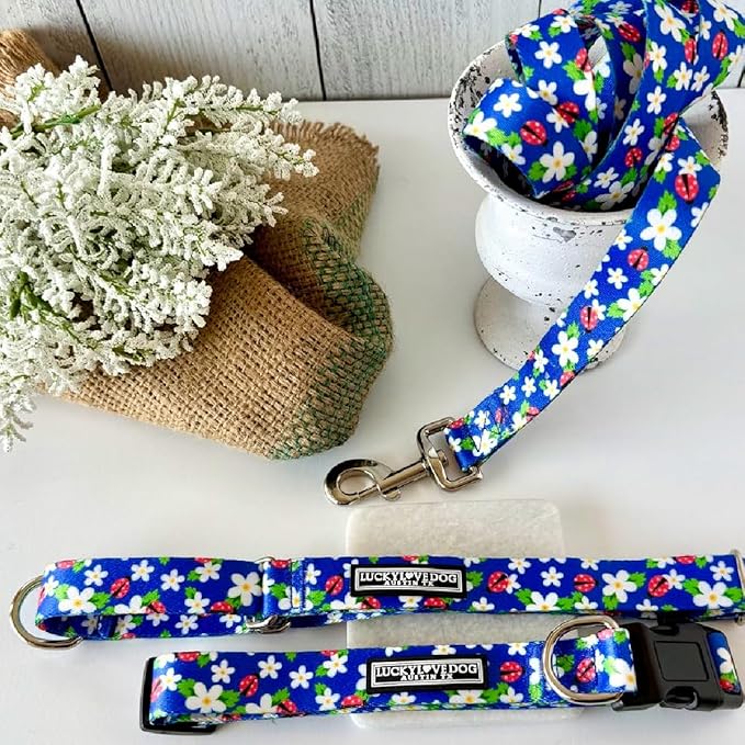 Lucky Love Dog - Easy Click Buckle Dog Collar with Leash Set Combo, Durable & Comfortable for Male & Female Dogs, Pet Collar for Small Dogs, Secure Fit - Lilian Combo, Small