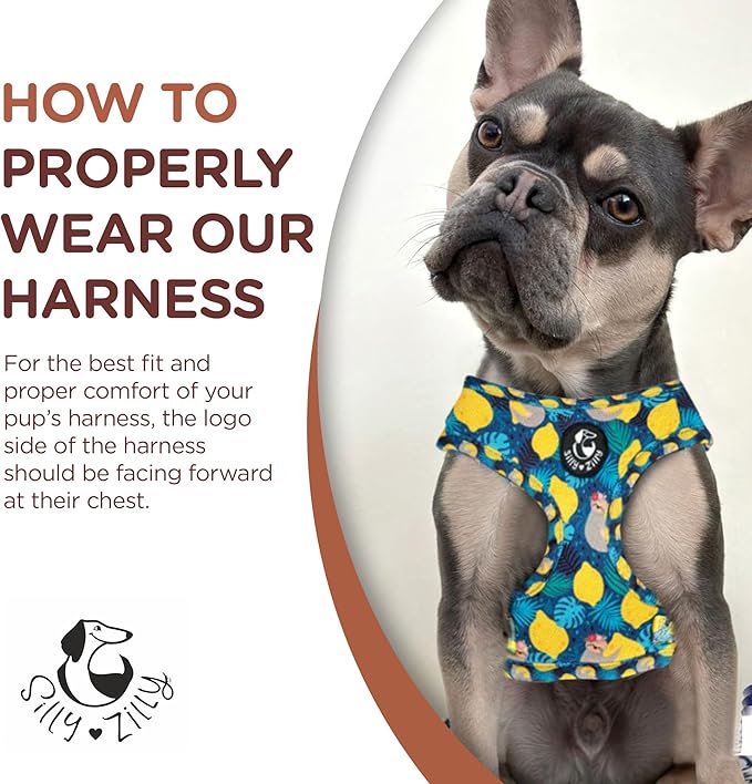 No Pull Harness and Leash Set - 6-in-1 Adjustable Vest Harness and Collars for Medium and Large Dogs. (Lemon, Large)