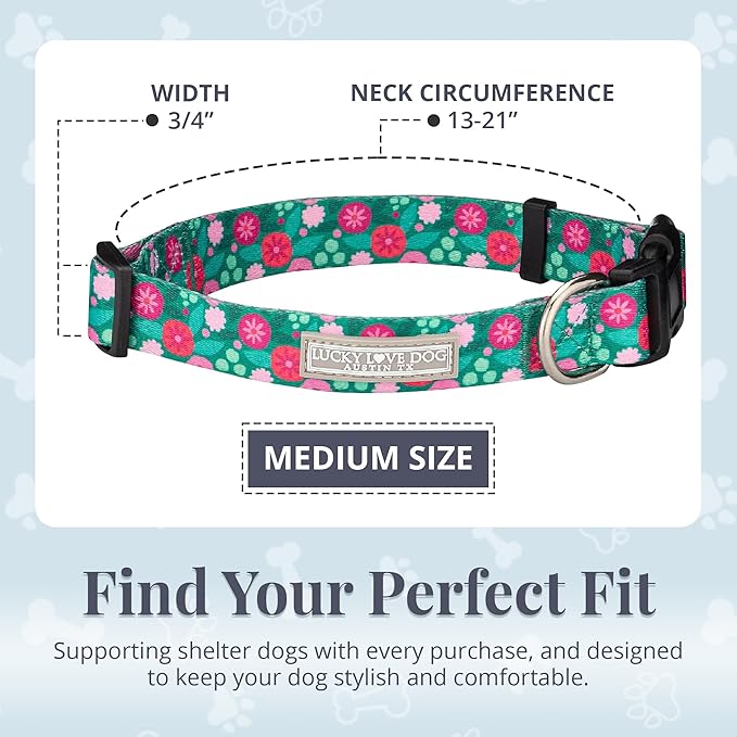 Lucky Love Dog - Adjustable Dog Collar with Easy Click Buckle for Medium Dogs, Durable, & Comfortable for Male & Female Dogs, Pet Collar for Puppies & Adult Ones - Penny, Medium