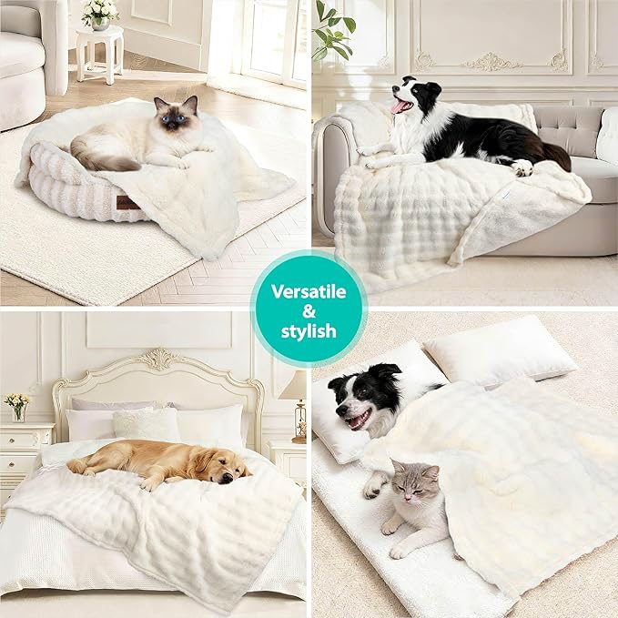 Dog Blankets Washable Pet Blanket - Fluffy Fuzzy Cat Puppy Blanket with Premium 300GSM 3D Fleece Bubble for Pet Kitten Doggy, Cream, 25x35IN