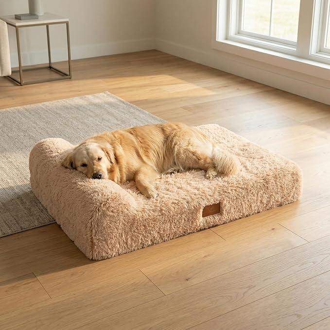 Jumbo Orthopedic Dog Bed for Large Dogs - 7-inch Thick Memory Foam Dog Bed with Pillow Removable Cover Machine Washable, Giant | 50 inch, Beige