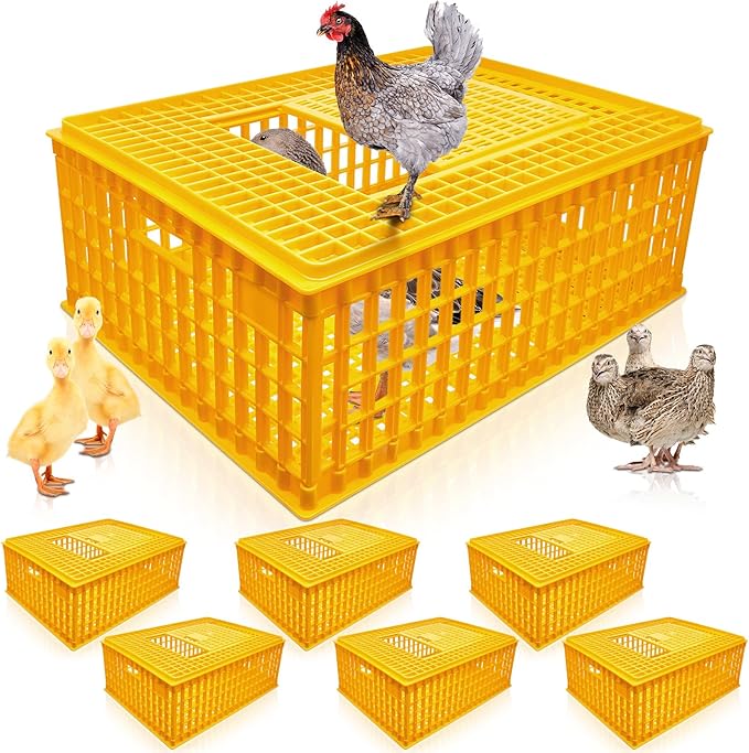 Sintuff 6 Pcs Poultry Carrier Crate Plastic Chicken Transport Cage Bird Carriers Chickens Carrier Travel Crate Basket Box for Poultry Chicken Bird Duck Goose, 29.5 x 21.7 x 11.6 Inch