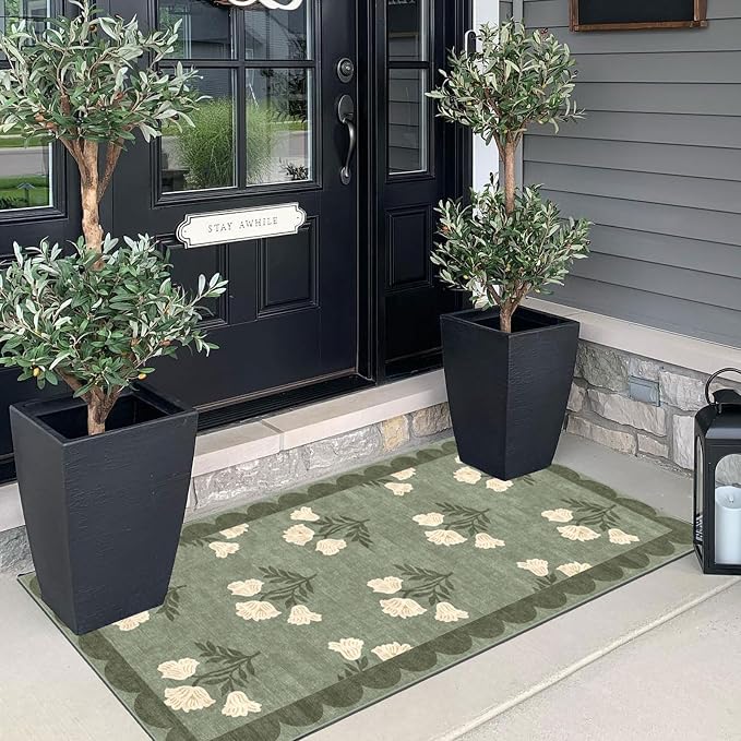 Front Door Mat Indoor Entrance