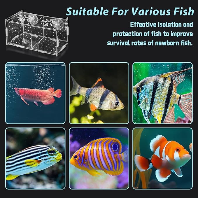 PINVNBY Acrylic Fish Breeding Box，Guppy breeding Box Acrylic Fish Isolation Box Aquarium Incubator with Suction Cups for Guppy Shrimp Small Baby Fishes（7.87 x 3.9 x 3.9 in）