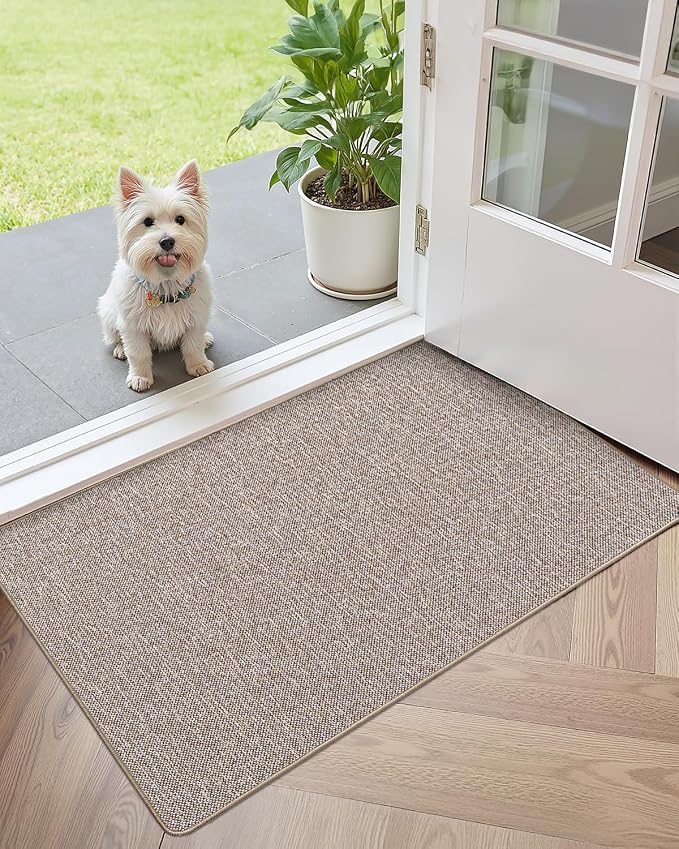 Color&Geometry Ultra Thin Indoor Door Mat 36"x56", Non Slip Rubber Backed Dirt