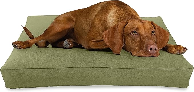 XX-Small - 18 x 12 x 4 - Cactus Premium Organic Hemp Dog Bed - Organic Latex Fill - Removeable Cover