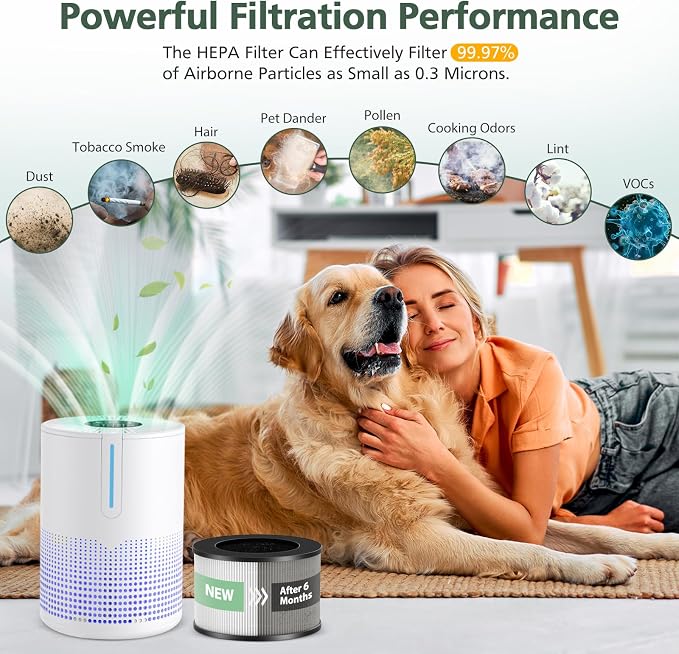 M01 Replacement Filter Only Compatible