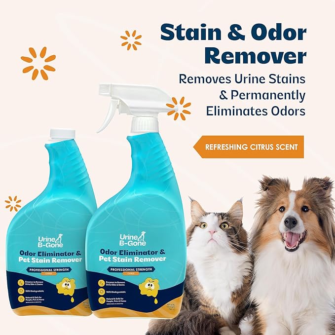 Urine B-Gone, Professional Enzyme Odor Eliminator & Pet Stain Remover, Human, Cat & Dog Urine Cleaner, Effective on Laundry, Carpets & More, Citrus Scent, 32oz, Pack of Two