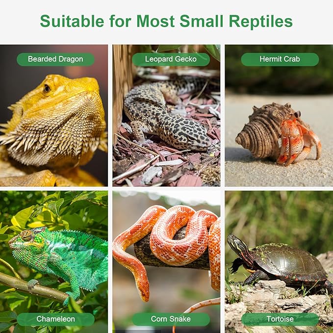 Reptile Water Dish for Bearded Dragon Tank Accessories, Hygger zoo Hermit Crab Food Bowl Reptile Food Dish Corner Rock Terrarium Feeding Bowl Tortoise Water Dish for Leopard Gecko Turtle Snake, Black
