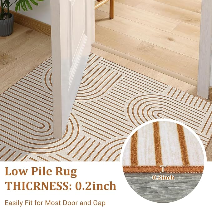 Washable Rug 2x3 Area Rugs for Entryway, Abstract Rug for Bedroom, Soft Rainbow