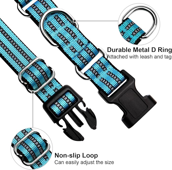 Martingale Dog Collar, Adjustable Nylon Reflective Collar with Quick Release Buckle (Blue, Extra Large)