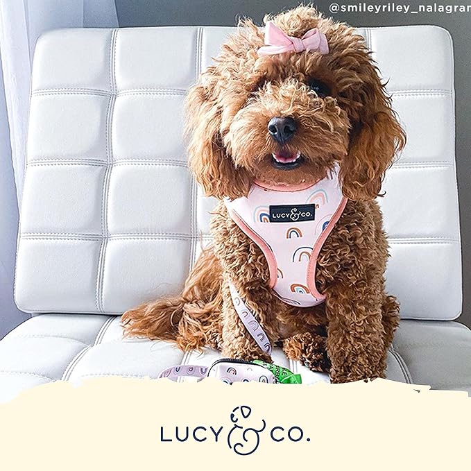 Lucy & Co. in The Clouds, Cute Reversible Dog Harness Walking Halter - Best Designer Pet Harnesses for Medium Dogs - Padded Adjustable Vest for Easy Walking (Small)