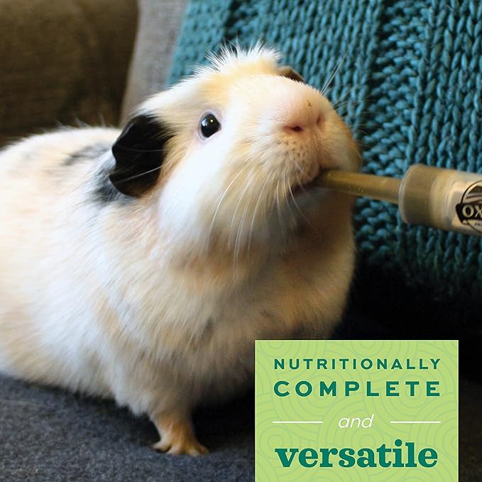 Oxbow Critical Care Herbivore, Emergency Guinea Pig Food, Rabbit Food for Recovery, Natural Apple Banana Flavor, Veterinary Formula, Critical Care for Guinea Pig Emergency Kit, Made in USA, 141 Grams