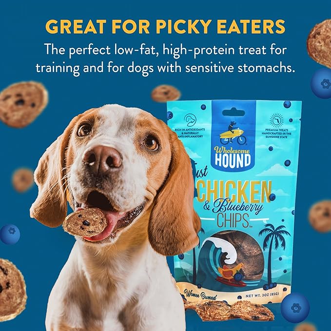 Chicken & Blueberry Chips – 2 Simple Ingredient Dog Treats, All Natural & Healthy Training Snacks for Small, Medium & Large Breeds, Puppies – High Protein, Made in US 3oz