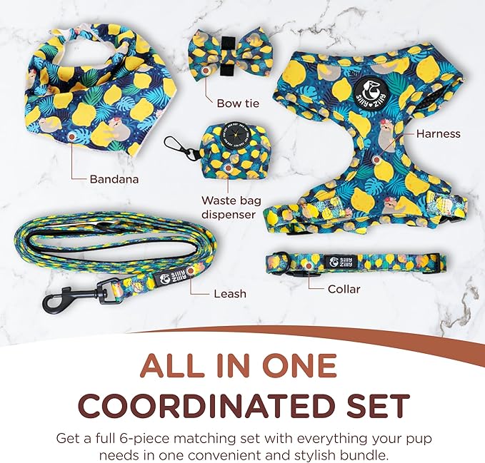 No Pull Harness and Leash Set - 6-in-1 Adjustable Vest Harness and Collars for Medium and Large Dogs. (Lemon, Extra Small)
