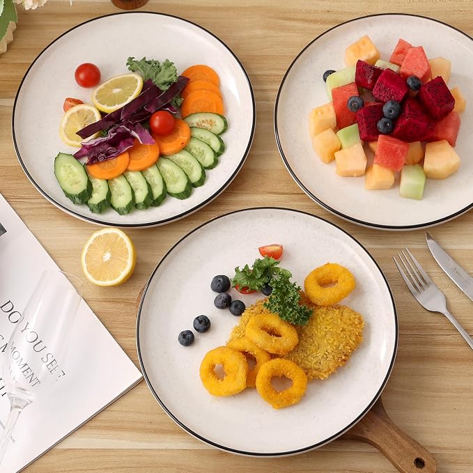 Ceramic White Dinner Plates Set of 6, 10.5 Inch Plates