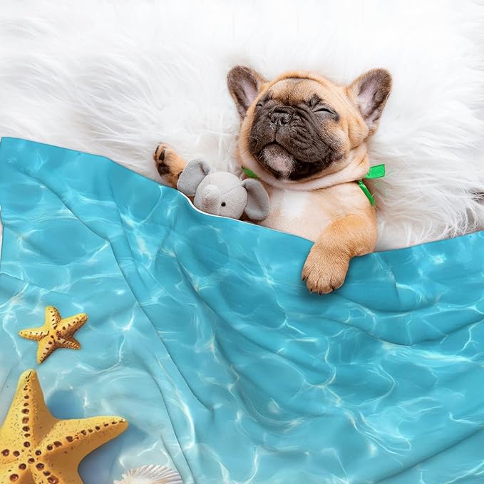 Waterproof Dog Blanket Soft Pet Blanket for Puppy Cat, Fleece Cat Throw Blankets for Furniture Bed Couch Sofa Reversible - Coral and Seashell On The Beach
