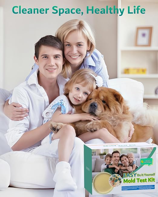 Mold Test Kit for Home