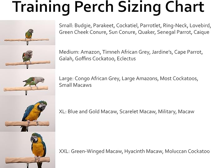 Parrot Training Perch Stand with Potty Tray (T Perch, XL)