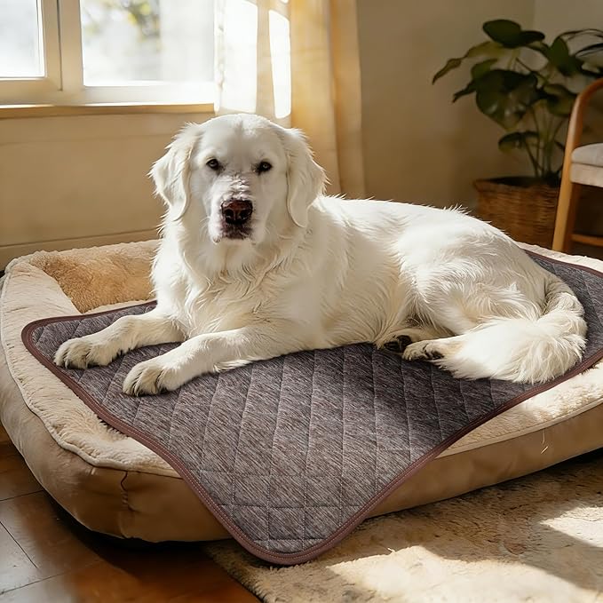 Cooling Mat for Dogs: Waterproof Pet Cooling Mat for Crate Kennel, Summer Indoor Dog Cooling Pad for Floor and Sofa, Dark Grey, Medium Dog