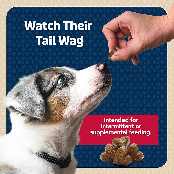 Blue Buffalo Bits Soft Dog Treats for Training, Made with Natural Ingredients & Enhanced with DHA, Beef Recipe, 19-oz Bag (Pack of 4)