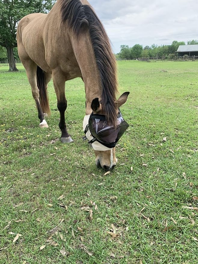 Recovery Vizor, (Size Pony - Dark UV Tint) Medical and Preventative Horse Eye (Goggle) Protection Mask for Uveitis, Injury, Scratch or Corneal Infection, Blindness.