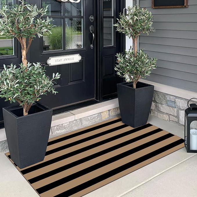 Front Door Mat Indoor Entrance