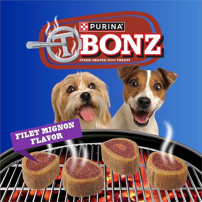 Purina T-Bonz Filet Mignon Flavor Steak Shaped Treats for Dogs - 45 oz. Pouch
