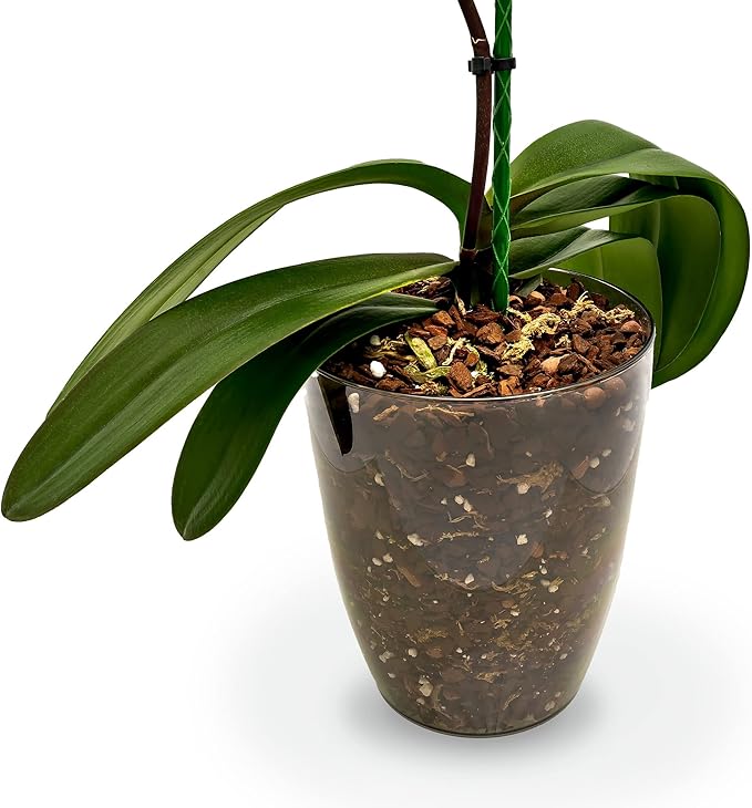 Organic Premium Orchid Soil Mix by Gardenera - Hand Mixed Classic Sphagnum Moss Potting Soil Mix - for Phalaenopsis Orchid - 4 Quart - Made in USA