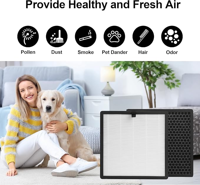 2 Packs Replacement Filter Compatible